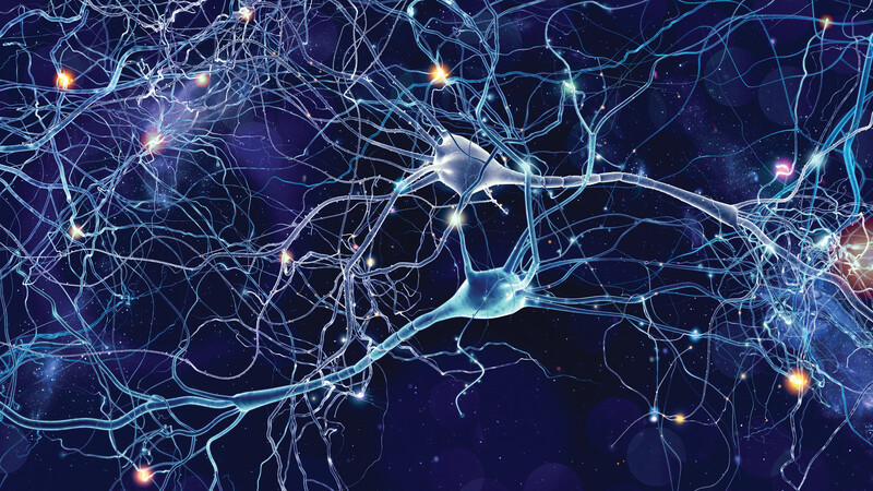 Teaching with brain in mind cover image